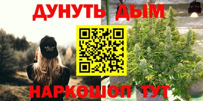 индика Белореченск