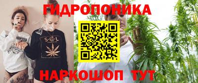 стаф Абакан