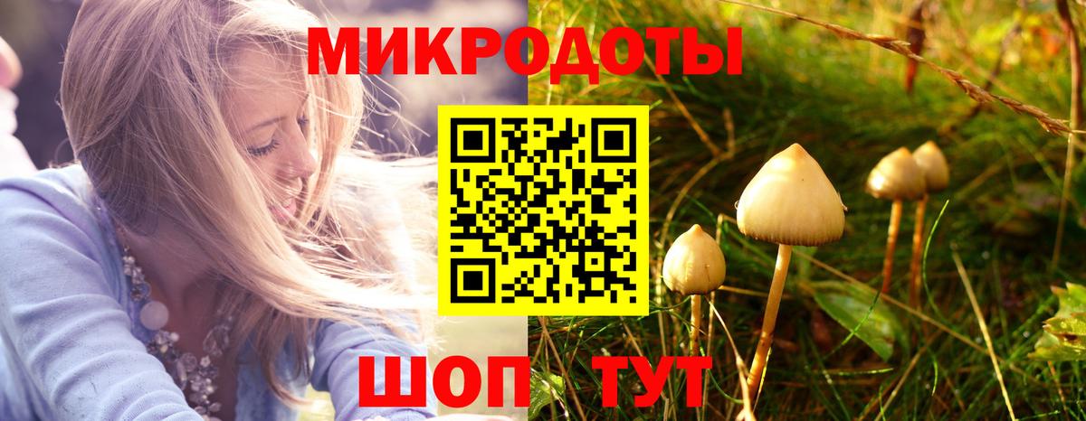 Псилоцибиновые грибы MAGIC MUSHROOMS  Вход с VPN  Пыть-Ях 